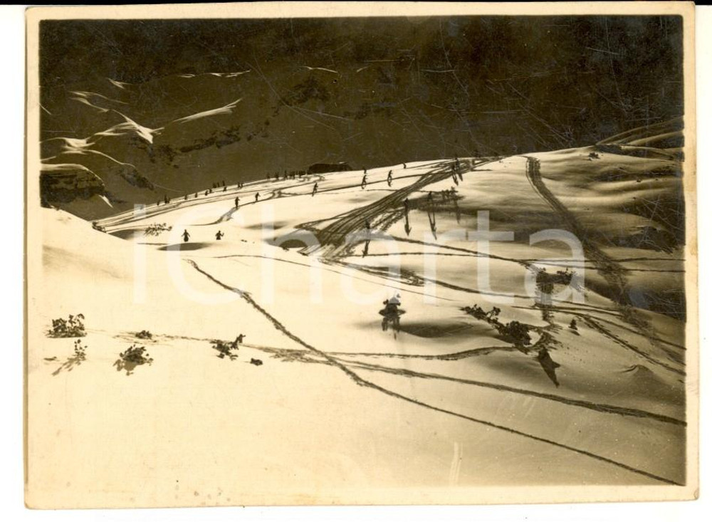 Fotografia d epoca originale 1940 ca SCI ALPINO Veduta di una pista in controluce  Foto ANIMATA VINTAGE 12x8 1