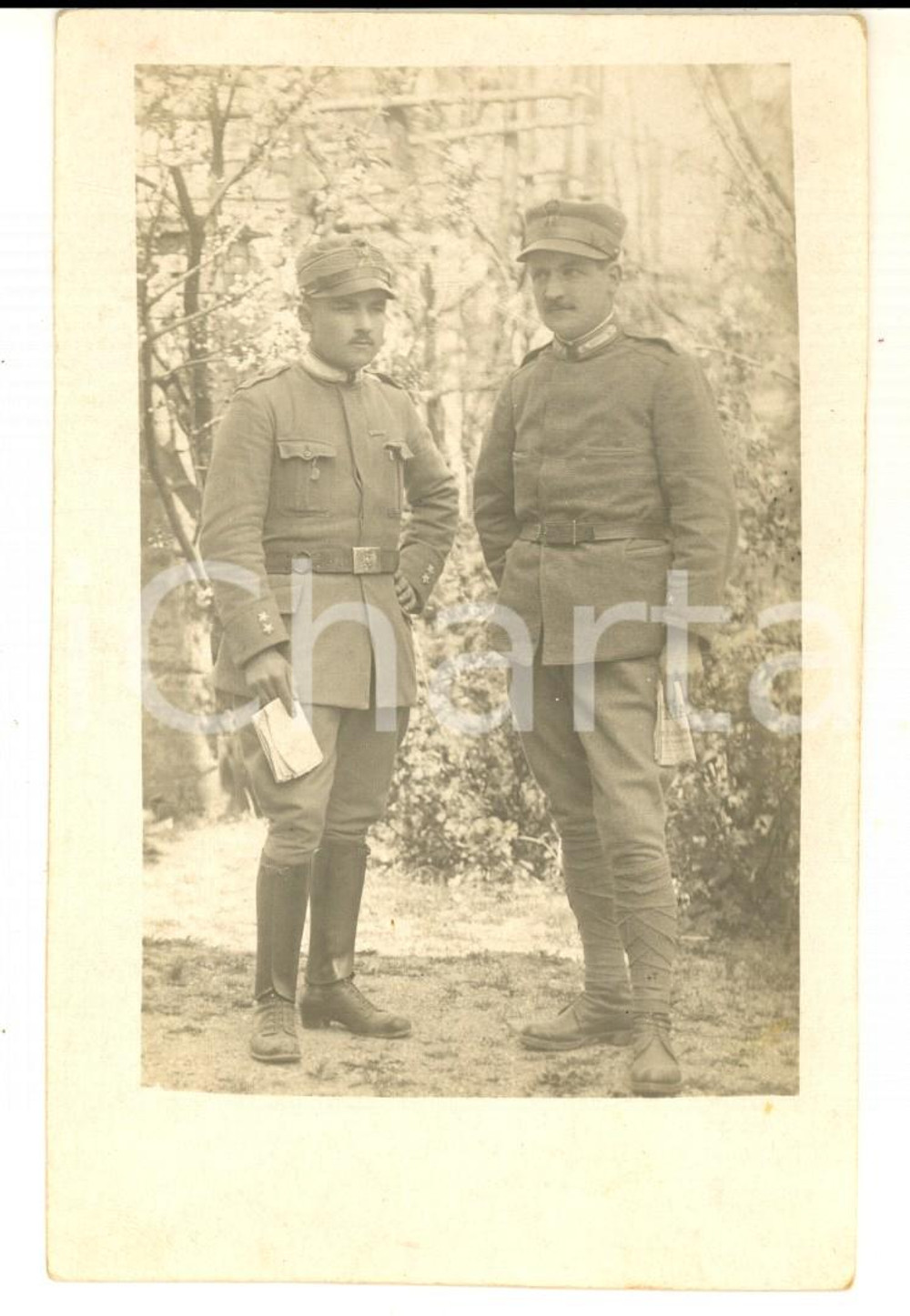 1915 ca WW1 ZONA DI GUERRA Ritratto di due ufficiali con il giornale *Foto