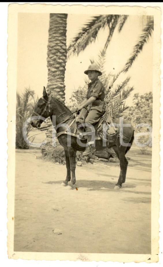 Fotografia d epoca originale 1936 MARMARICA / LIBIA Ufficiale italiano a dorso di mulo  Foto 7x11 cm 1