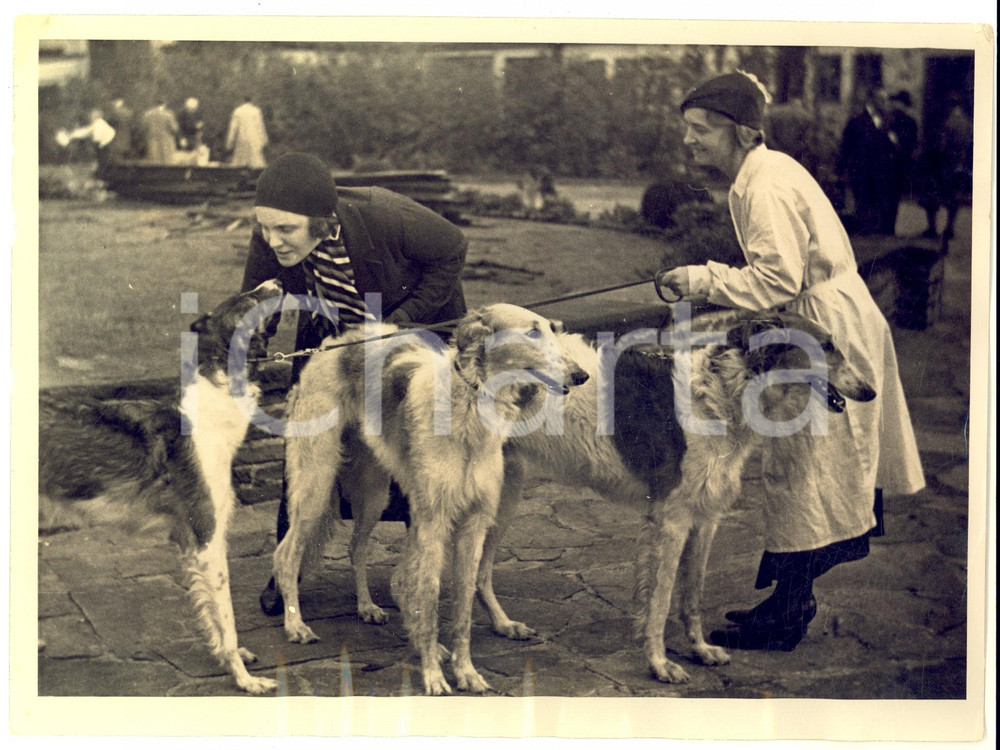Fotografia d epoca originale 1935 ca BERLIN Mostra razze canine  Concorrenti  Foto VINTAGE 24x18 cm 1