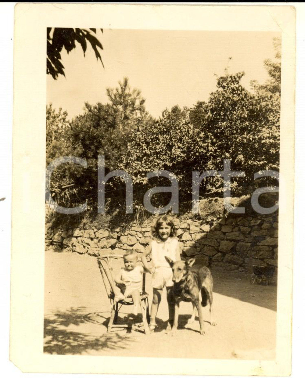 Fotografia d epoca originale 1921 SALERNO Ritratto di due bambini con un cane  Foto VINTAGE 9x12 cm 1