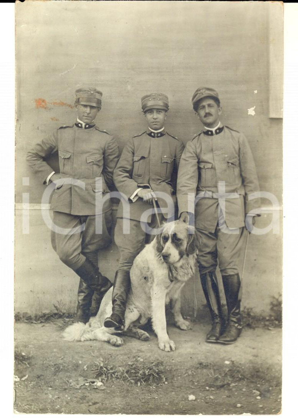 Fotografia d epoca originale 1915 WW1 3° Corpo d Armata  Ritratto di ufficiali con un cane Foto cartolina 1