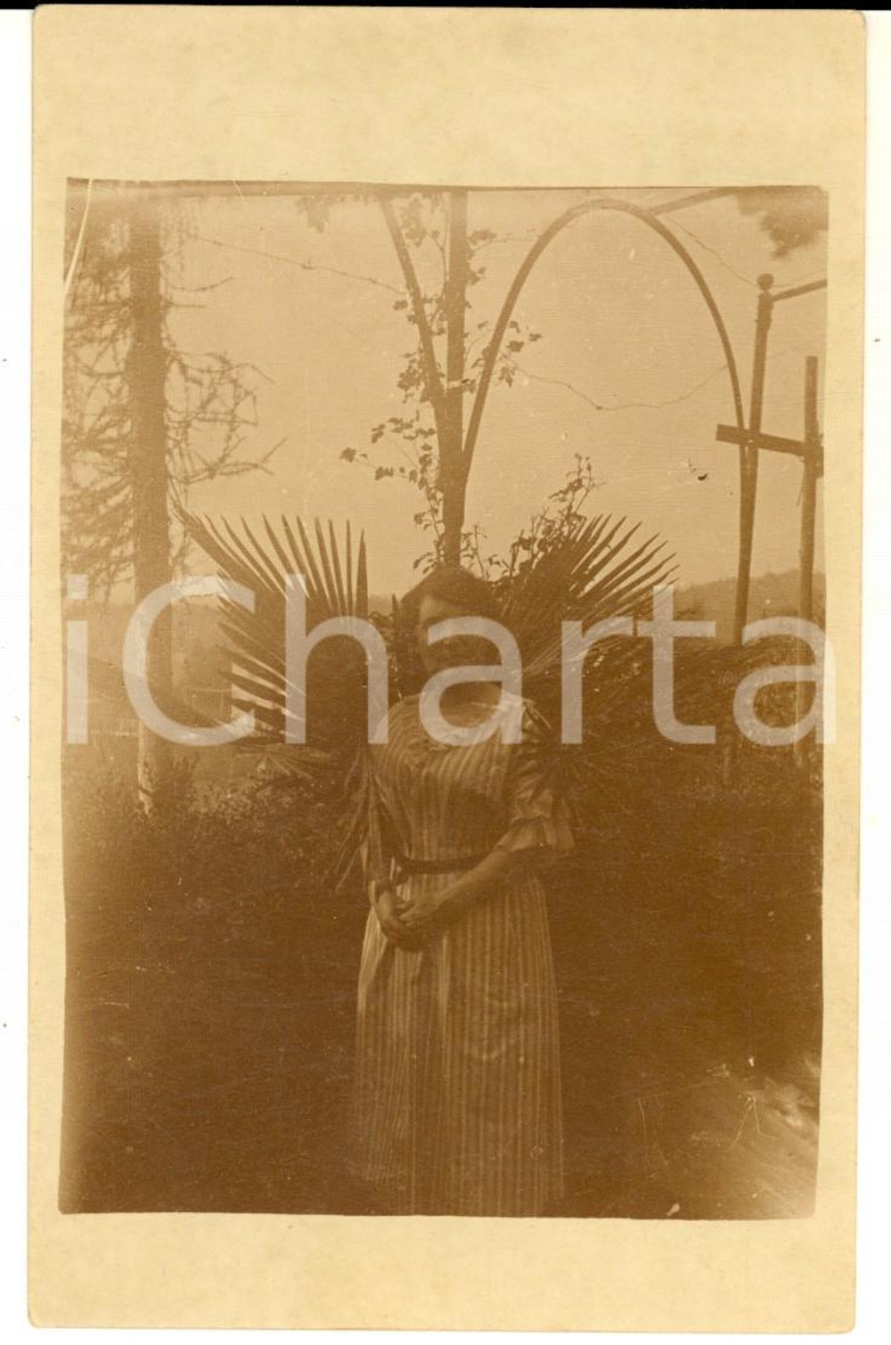 Fotografia d epoca originale 1910 ca ITALIA Ritratto di donna nel proprio giardino Foto cartolina VINTAGE 1