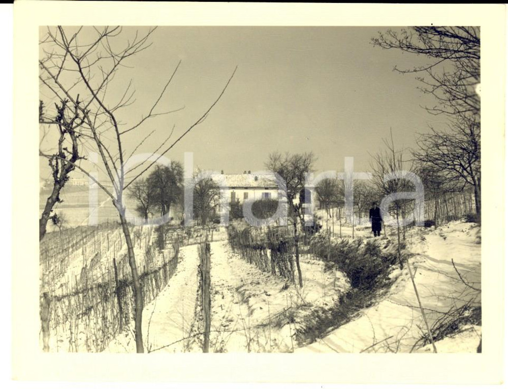 Fotografia d epoca originale 1940 FONTANILE AT Veduta di CASCINA FOGLIACCA tra i filari Foto ANIMATA 12x9 1