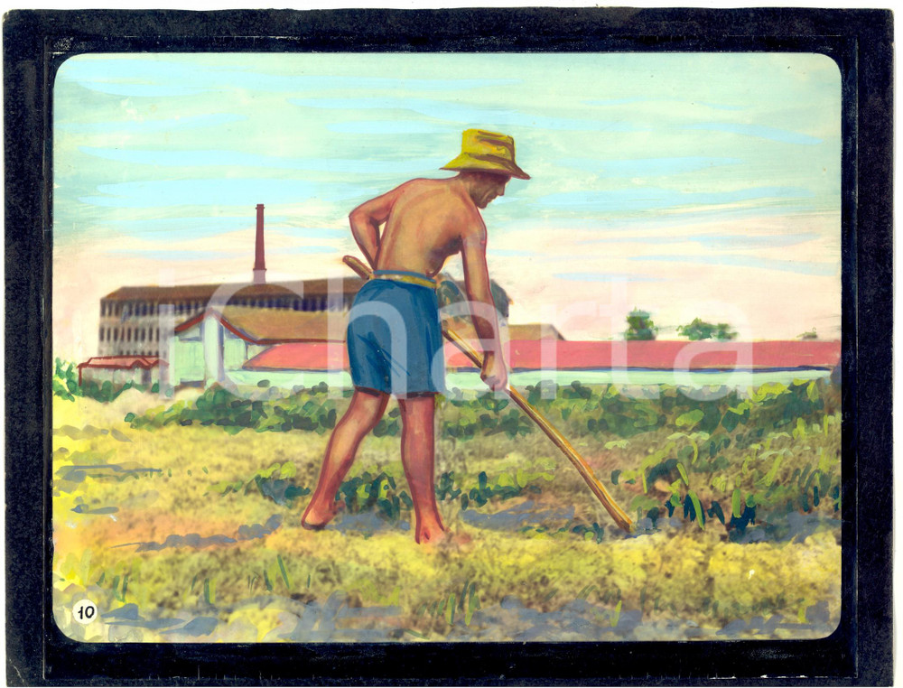 Fotografia d epoca originale 1955 ca STRADELLA ? Contadino in un campo presso cementificio Foto COLORATA 1