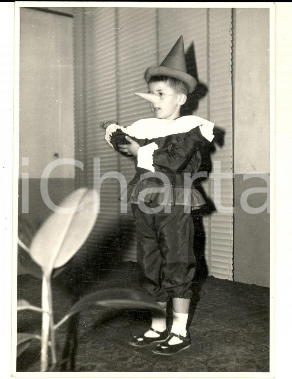Fotografia d epoca originale 1960 ca ITALIA CARNEVALE Ritratto di bambino vestito da Pinocchio Foto 10x14 cm 1