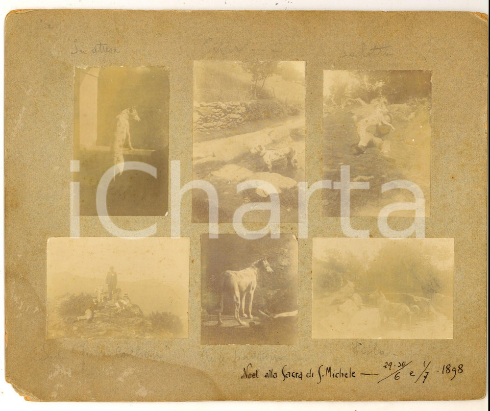 Fotografia d epoca originale 1898 SACRA DI SAN MICHELE Gita di Natale con i cani  Lotto 6 foto VINTAGE 1