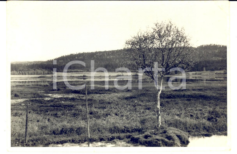 Fotografia d epoca originale 1965 ca HAGA NORWAY Veduta panoramica con lago  Foto VINTAGE 15x10 cm 1