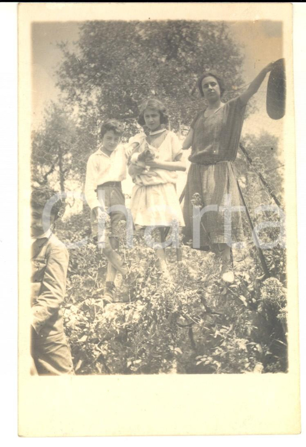 Fotografia d epoca originale 1920 ca FRANCE Ritratto di famiglia in campagna con un gatto Foto CURIOSA 1