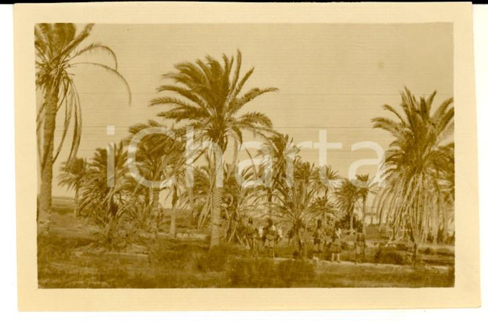 Fotografia d epoca originale 1932 LIBIA Veduta dell Oasi di GIANZUR  Foto RARA ANIMATA 9x6 cm 1