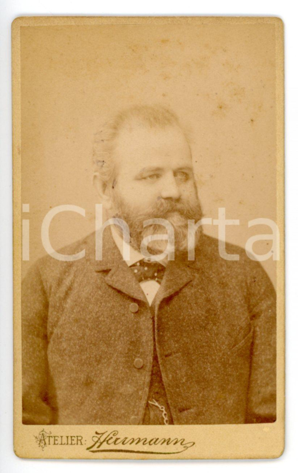 Fotografia d epoca originale 1890 ca LEIPZIG Ritratto maschile con cravattino a pois Foto HERRMANN  CDV 1