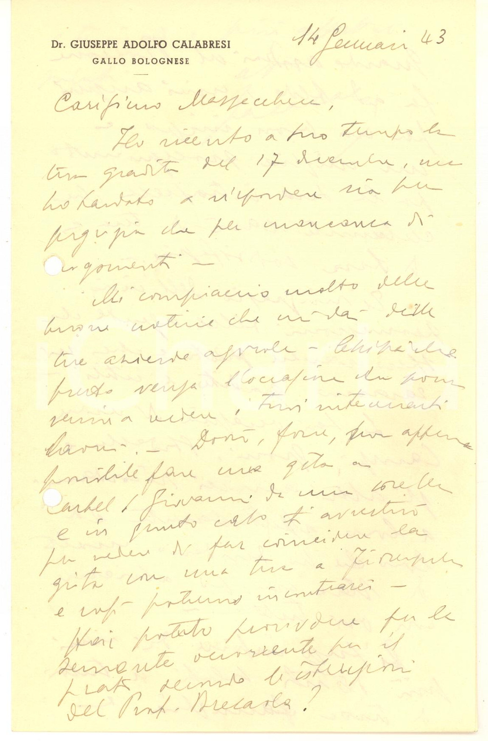 Autografo originale 1943 GALLO BOLOGNESE  Lettera dr. Giuseppe Adolfo CALABRESI AUTOGRAFO 1