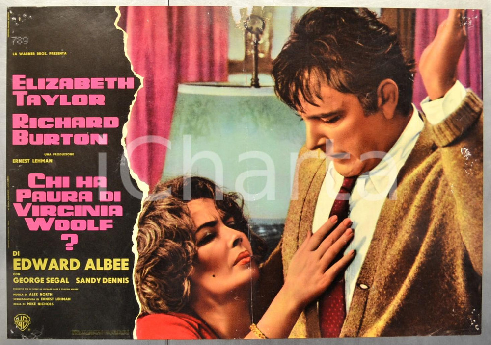 Materiale cinematografico d’epoca 1966 CHI HA PAURA DI VIRGINIA WOOLF? Liz TAYLOR Fotobusta DANNEGGIATA 66x46 cm 1