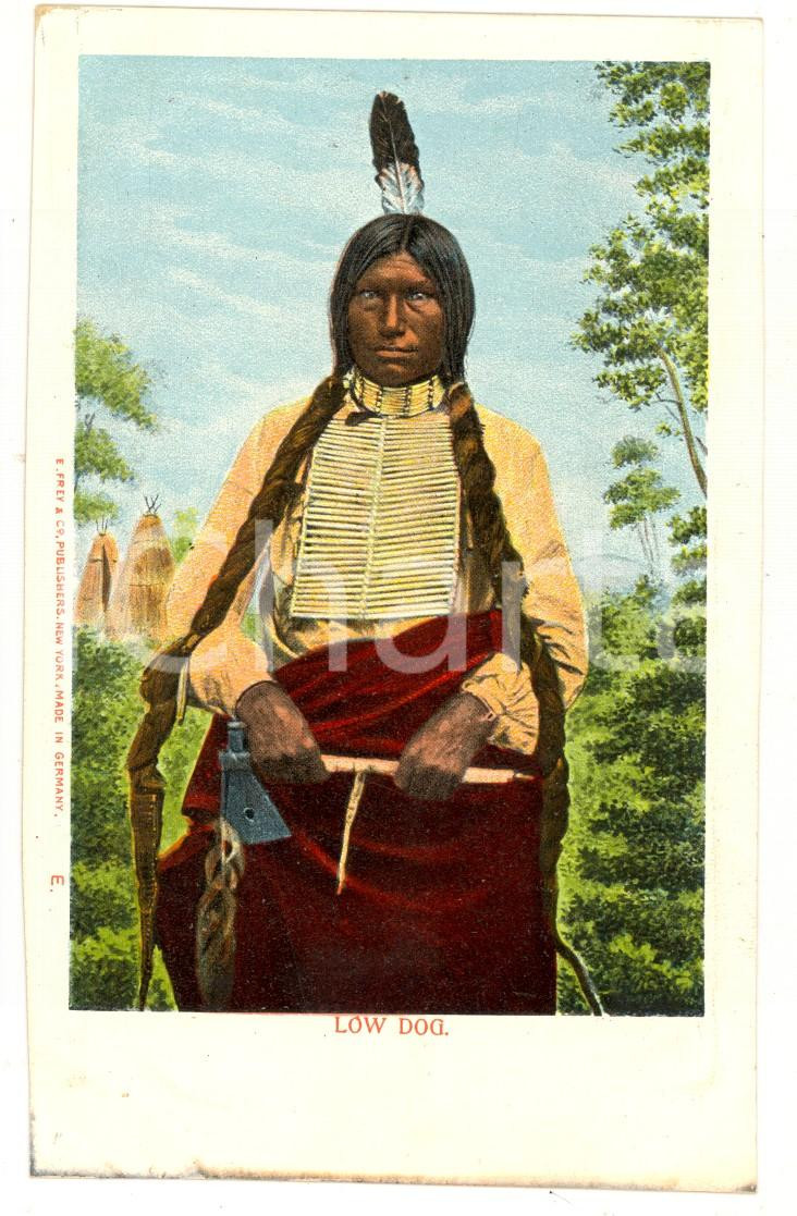 Cartolina originale da collezione 1900 ca USA Red Indian Chief  Low Dog Vintage postcard DAMAGED FP NV 1