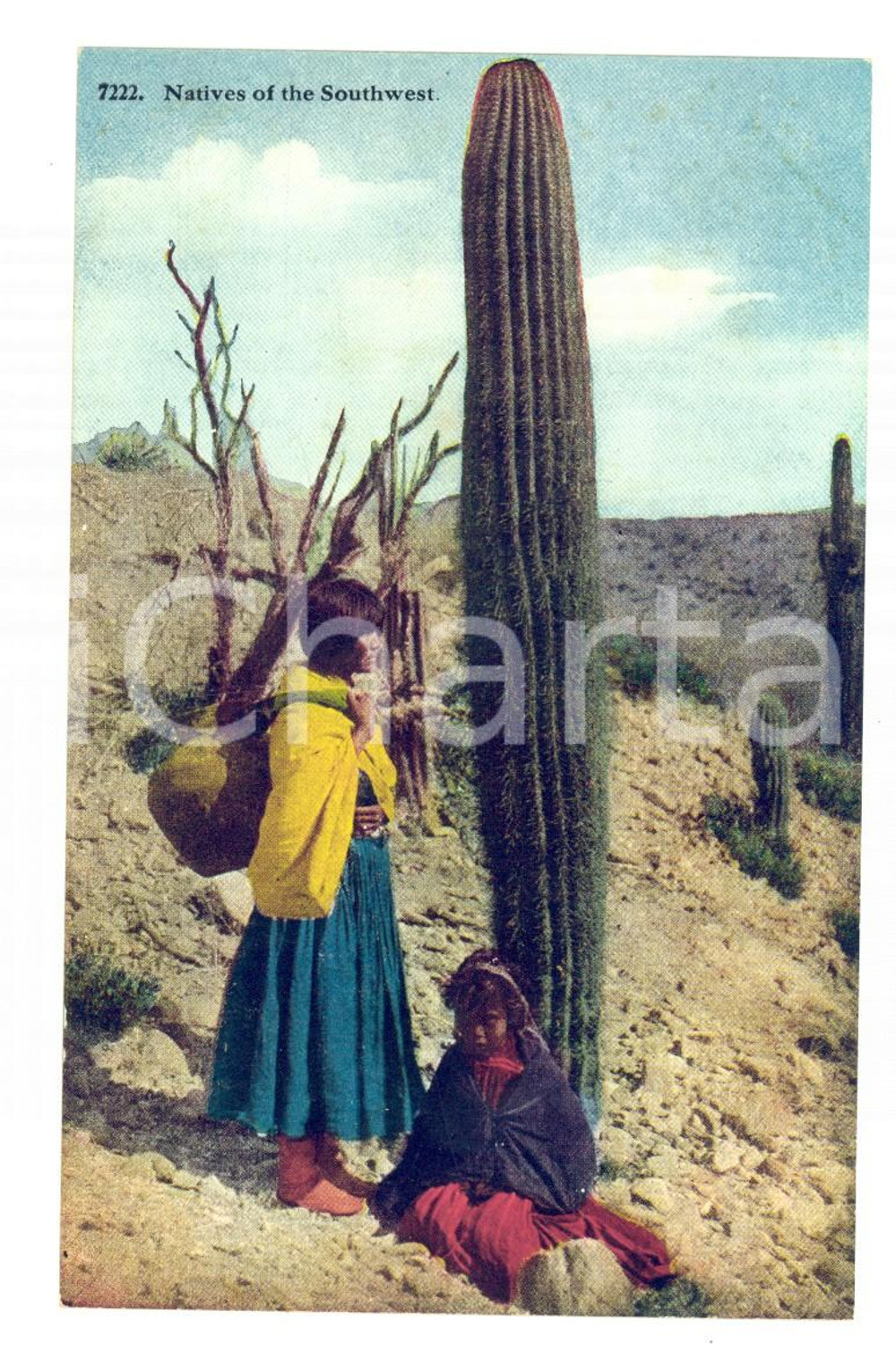 Cartolina originale da collezione 1910 ca USA NATIVE AMERICANS Indians of the Southwest Postcard TAMMEN FP NV 1
