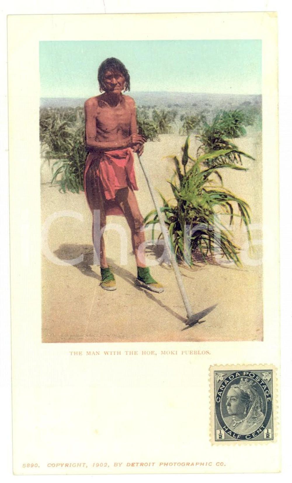 Cartolina originale da collezione 1902 NATIVE AMERICAN The man with the hoe, MOKI PUEBLOS Postcard RARE 1