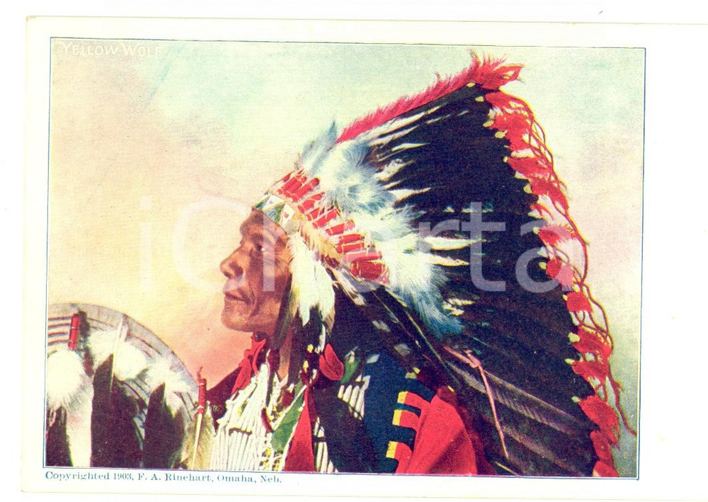 Cartolina originale da collezione 1903 NATIVE AMERICAN Indian Chief YELLOW WOLF Postcard RINEHART RARE 1