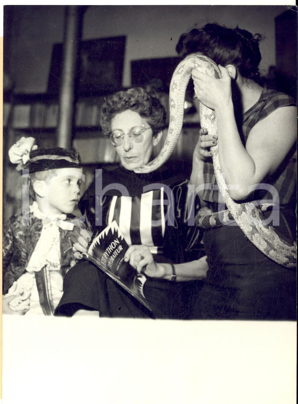 Fotografia d epoca originale 1953 PARIS ThÃ©rÃ¨se LE PRAT signe son livre Le petit python Photo 13x18 cm 1