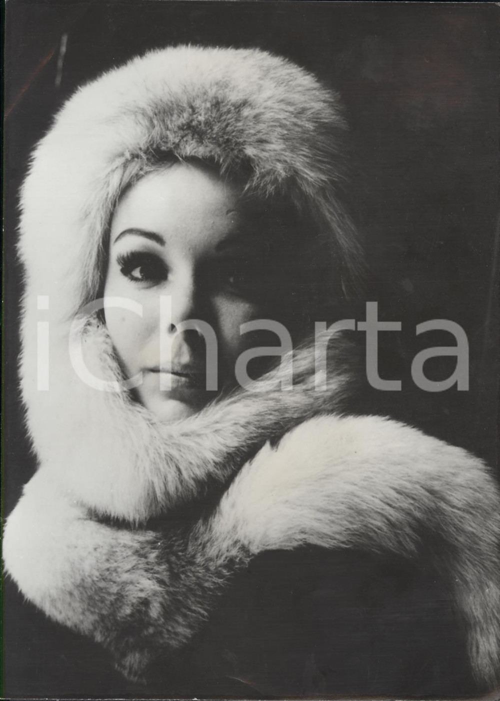 Fotografia d epoca originale 1961 MODE PARIS Pierre CARDIN  CoiffureÃ©charpe dans un renard Photo 1