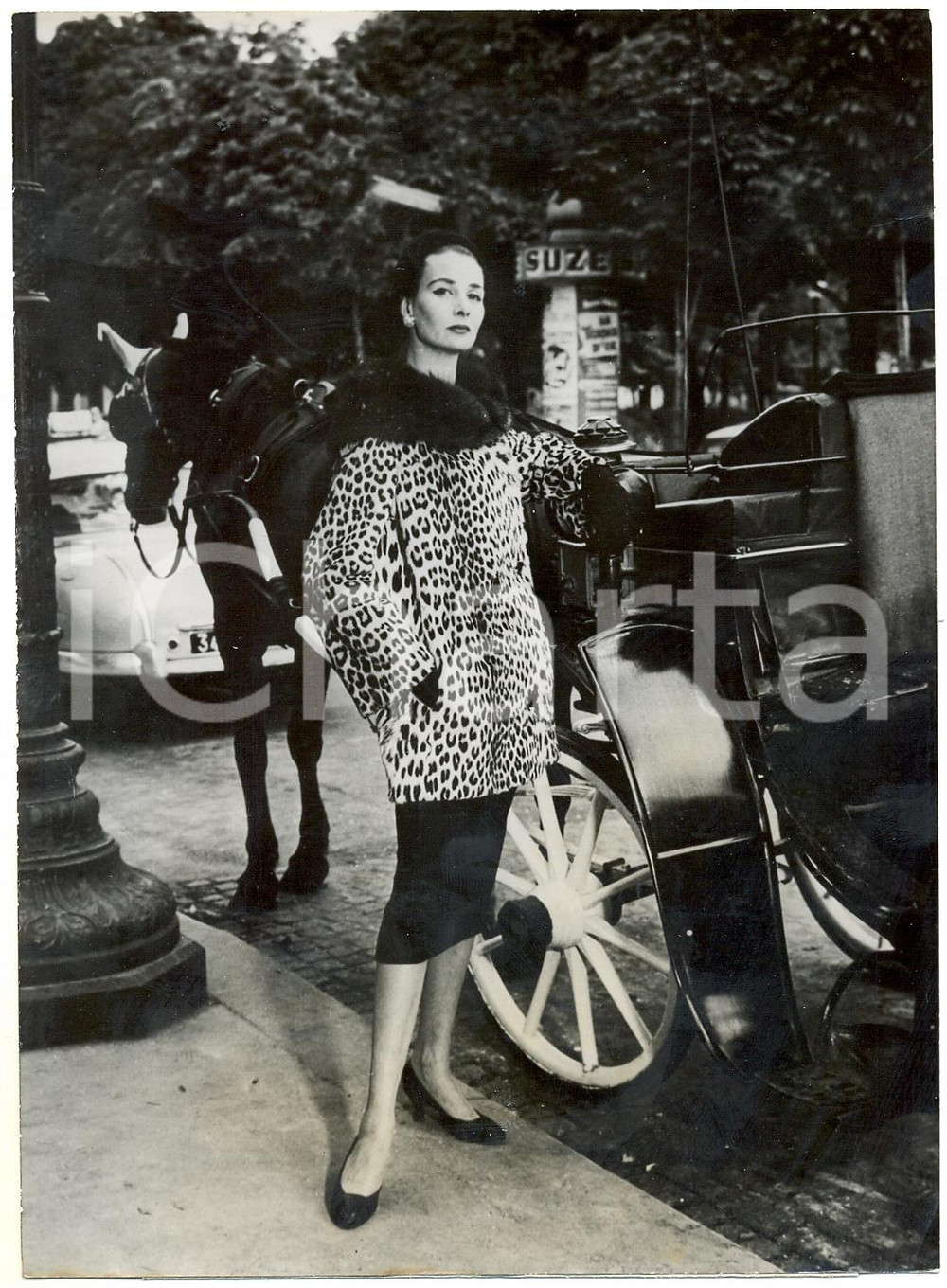 Fotografia d epoca originale 1955 PARIS MODE Fourrures Jeanne LANVINCASTILLO Jaquette lÃ©opard Photo 1