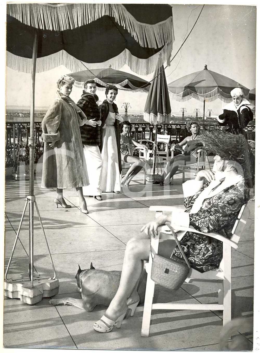 Fotografia d epoca originale 1953 DEAUVILLE Gala de fourreurs et bijoutiers parmi les baigneuses Photo 1