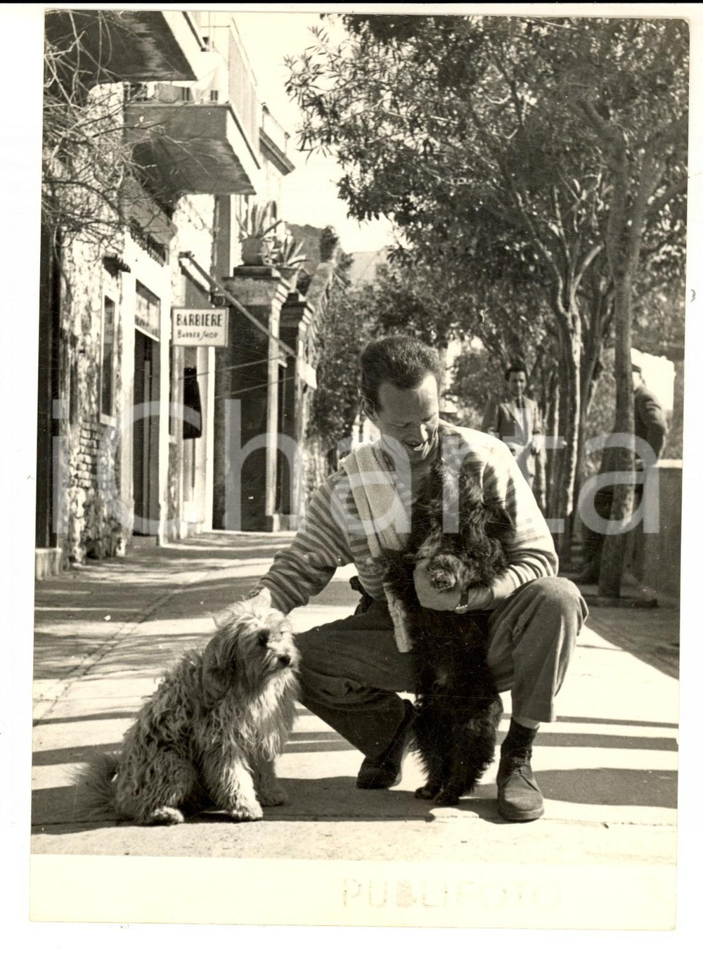 Fotografia d epoca originale 1955 ca CAPRI L attore Frank LATIMORE in vacanza con i suoi cagnolini Foto 1