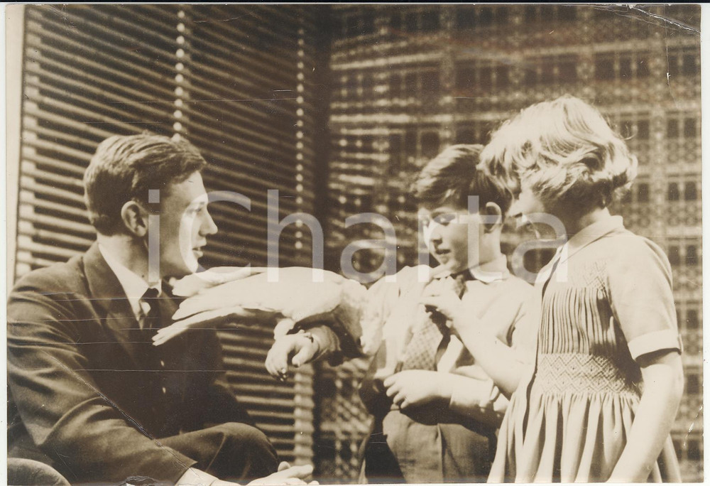 Fotografia d epoca originale 1958 LONDON  BBC David ATTENBOROUGH watch Prince Charles holding a parrot Photo 1