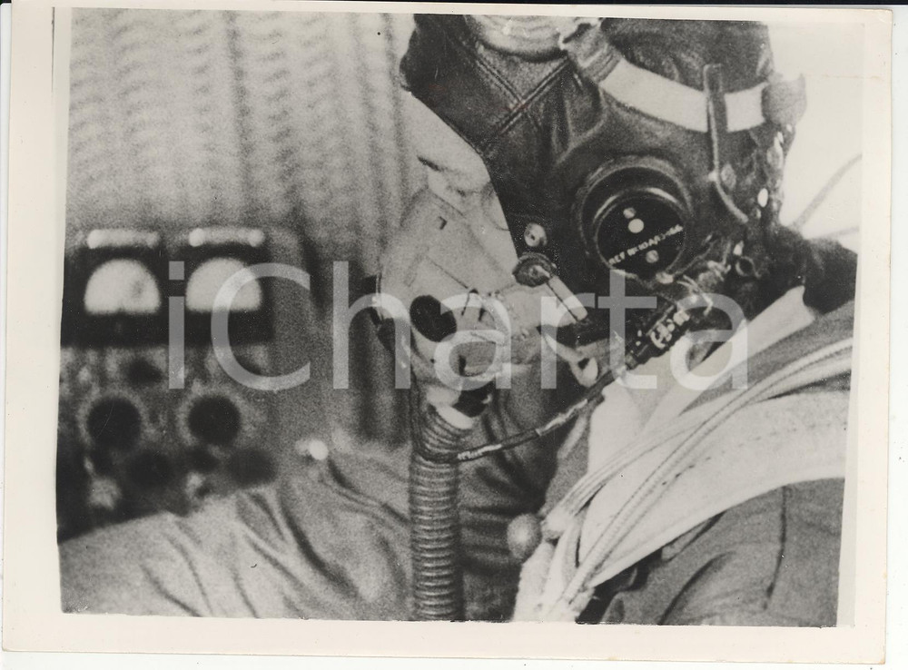 Fotografia d epoca originale 1954 FARNBOROUGH Portrait of British official Air Force Anne BURNS Photo 20x15 1