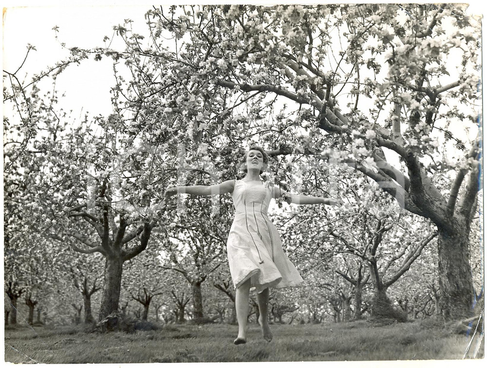 Fotografia d epoca originale 1958 KENT High Tong  Joy YOUNG dancing in Cherry blossom garden Photo 20x15 cm 1