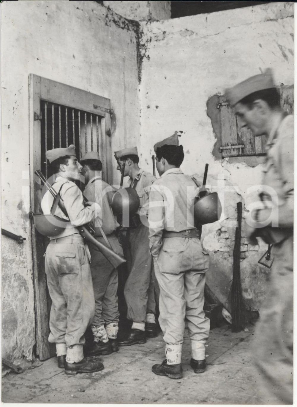 Fotografia d epoca originale 1954 FERRARA Sciopero Braccianti  Esercito interviene per salvare il bestiame 1