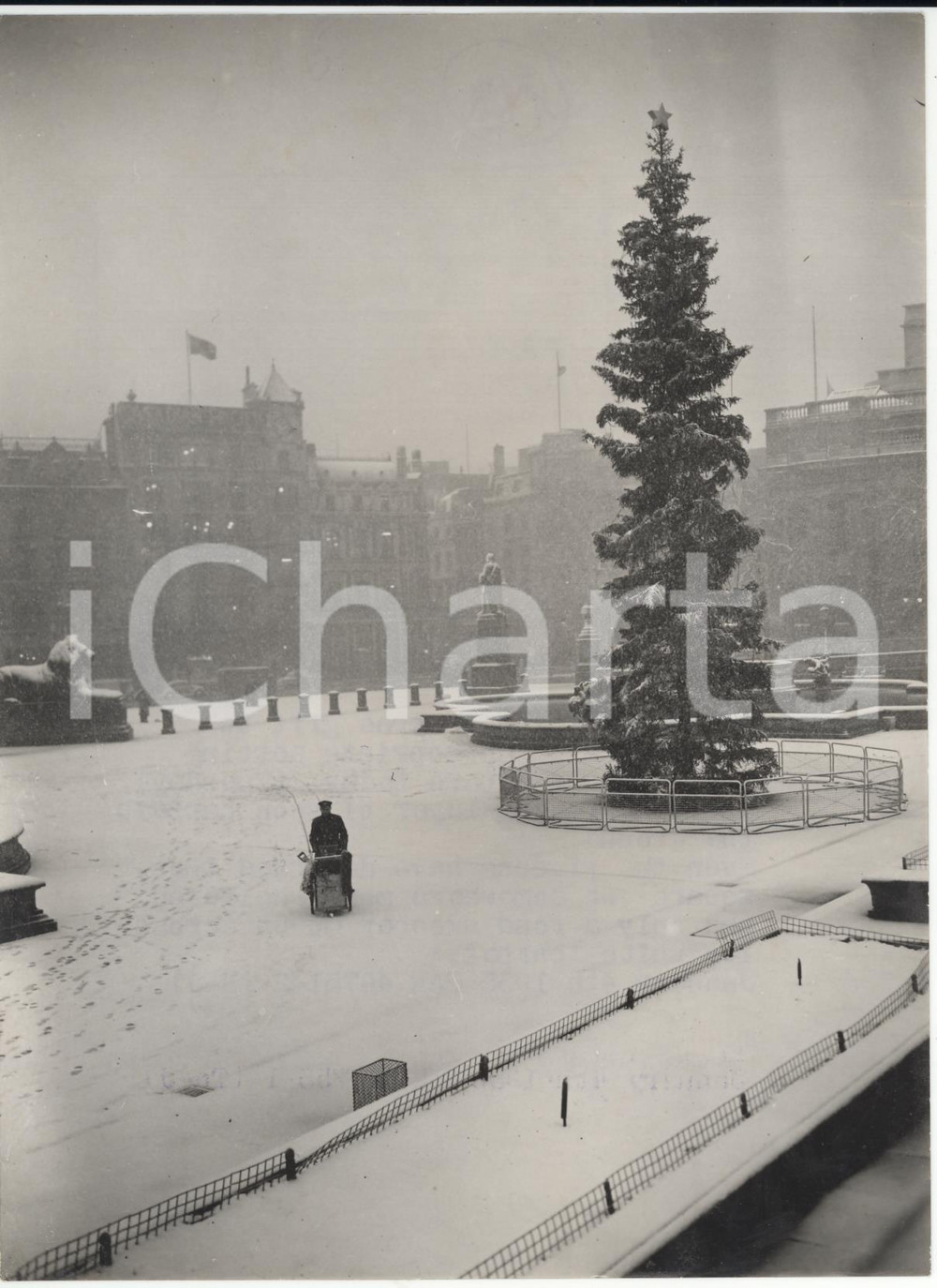 Fotografia d epoca originale 1955 LONDON Trafalgar Square  Norway gifts Christmas tree to londoners Photo 1