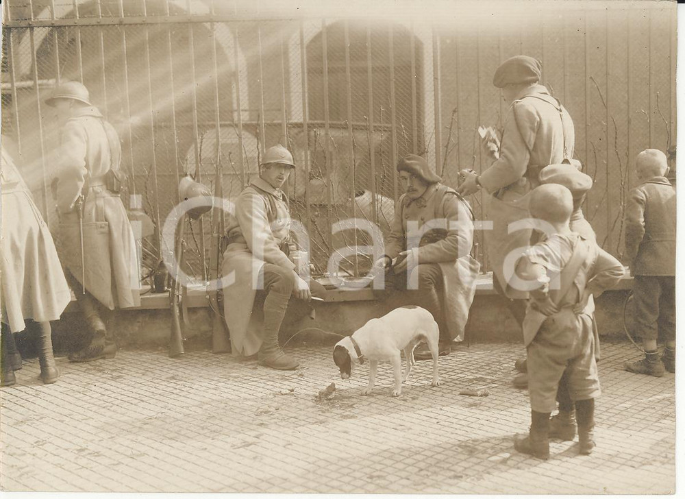 Fotografia d epoca originale 1920 FrankfurtamMain  Occupation troops in the park REAL PHOTO cm 16x12 1