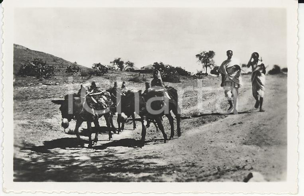 Fotografia d epoca originale 1935ca A.O.I. ETIOPIA Ritratto di pastori etiopi VERA PHOTO cm 5,8x9 1