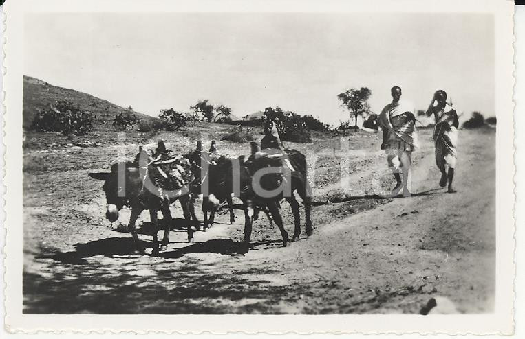 Fotografia d epoca originale 1935ca A.O.I. ETIOPIA Ritratto di pastori etiopi VERA PHOTO cm 5,8x9 1
