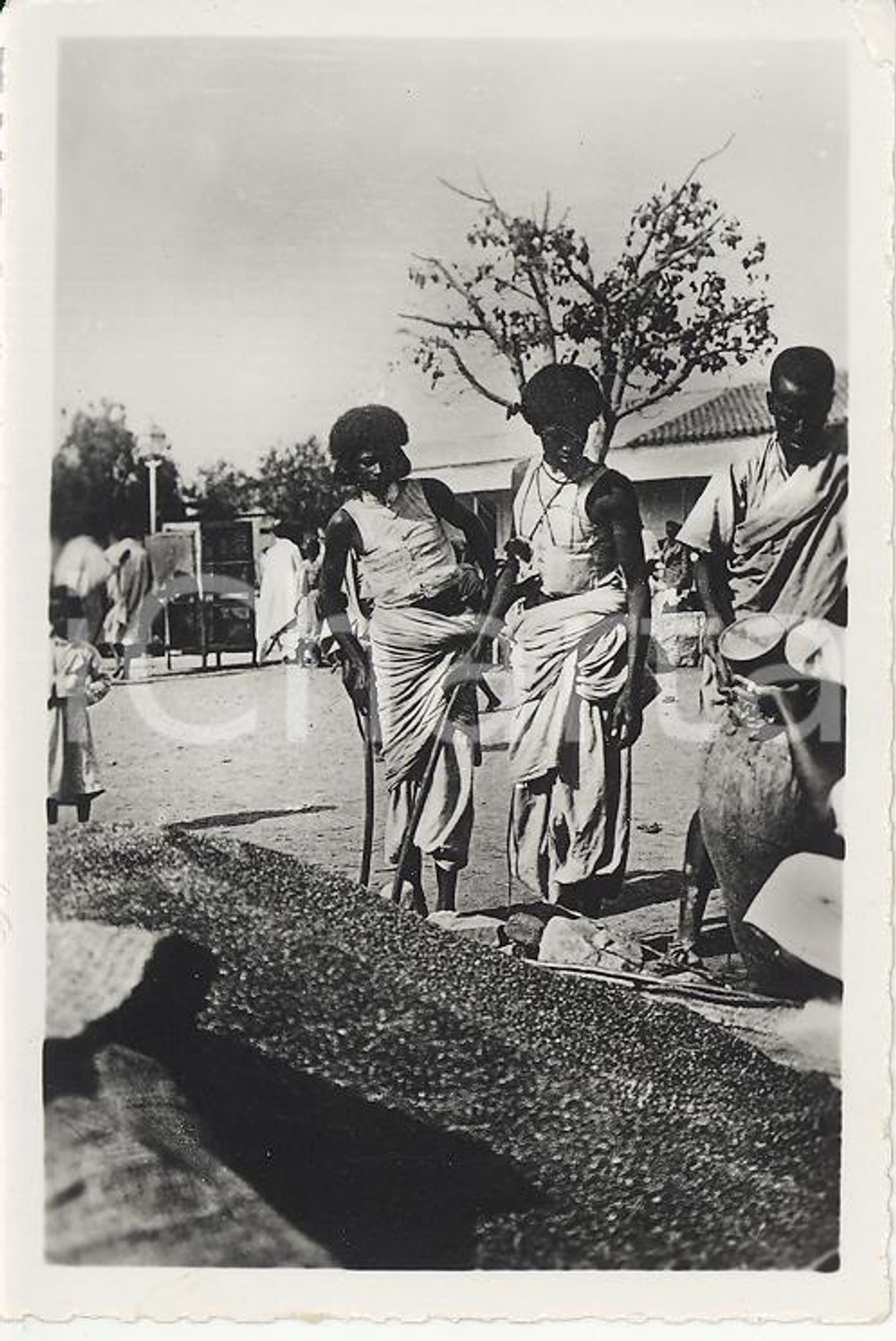 Fotografia d epoca originale 1935ca A.O.I. ETIOPIA Ritratto di etiopi VERA PHOTO cm 9X5,8 1