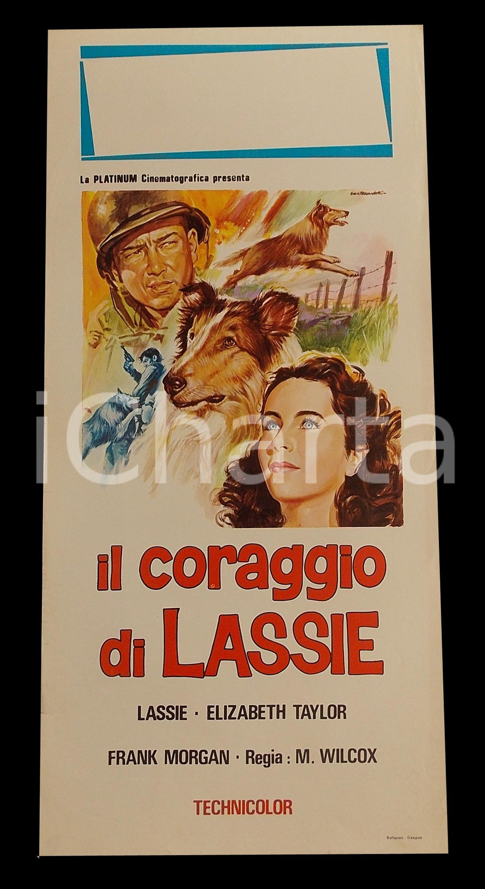 Materiale cinematografico d’epoca 1965 ca IL CORAGGIO DI LASSIE Elizabeth TAYLOR Frank MORGAN Manifesto 32x70 cm 1