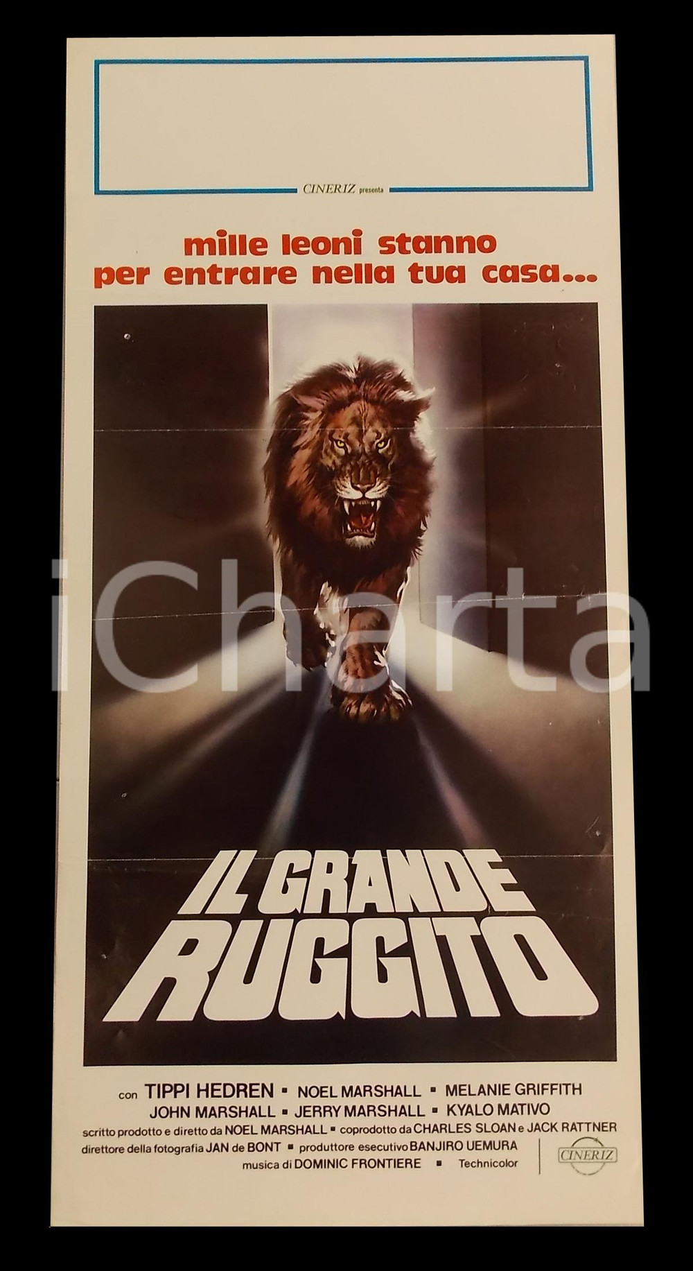 Materiale cinematografico d’epoca 1981 IL GRANDE RUGGITO Tippi HEDREN Melanie GRIFFITH Noel MARSHALL Manifesto 1