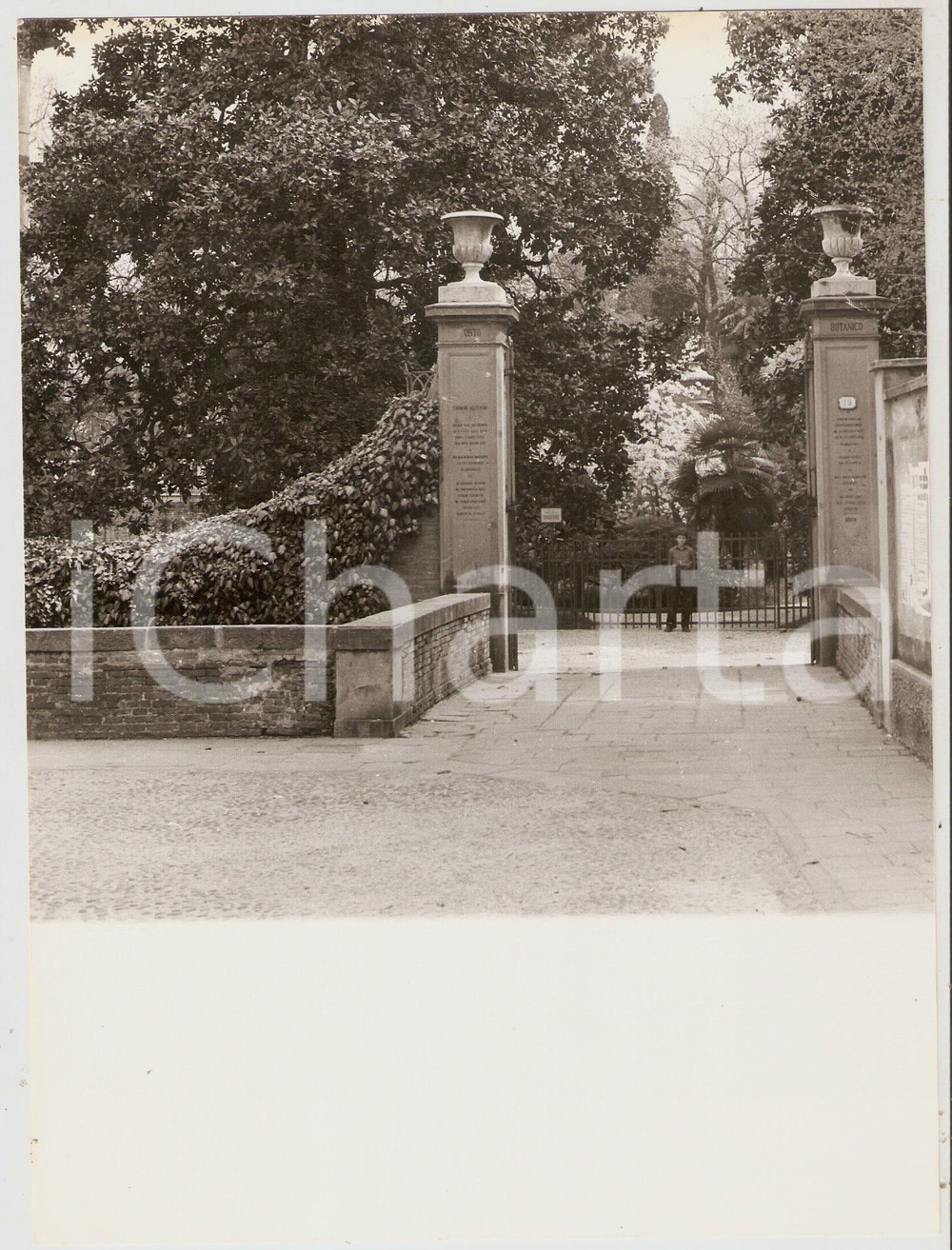 Fotografia d epoca originale 1970 ca PADOVA Ingresso dell orto botanico  Foto artistica 18x18 cm 1