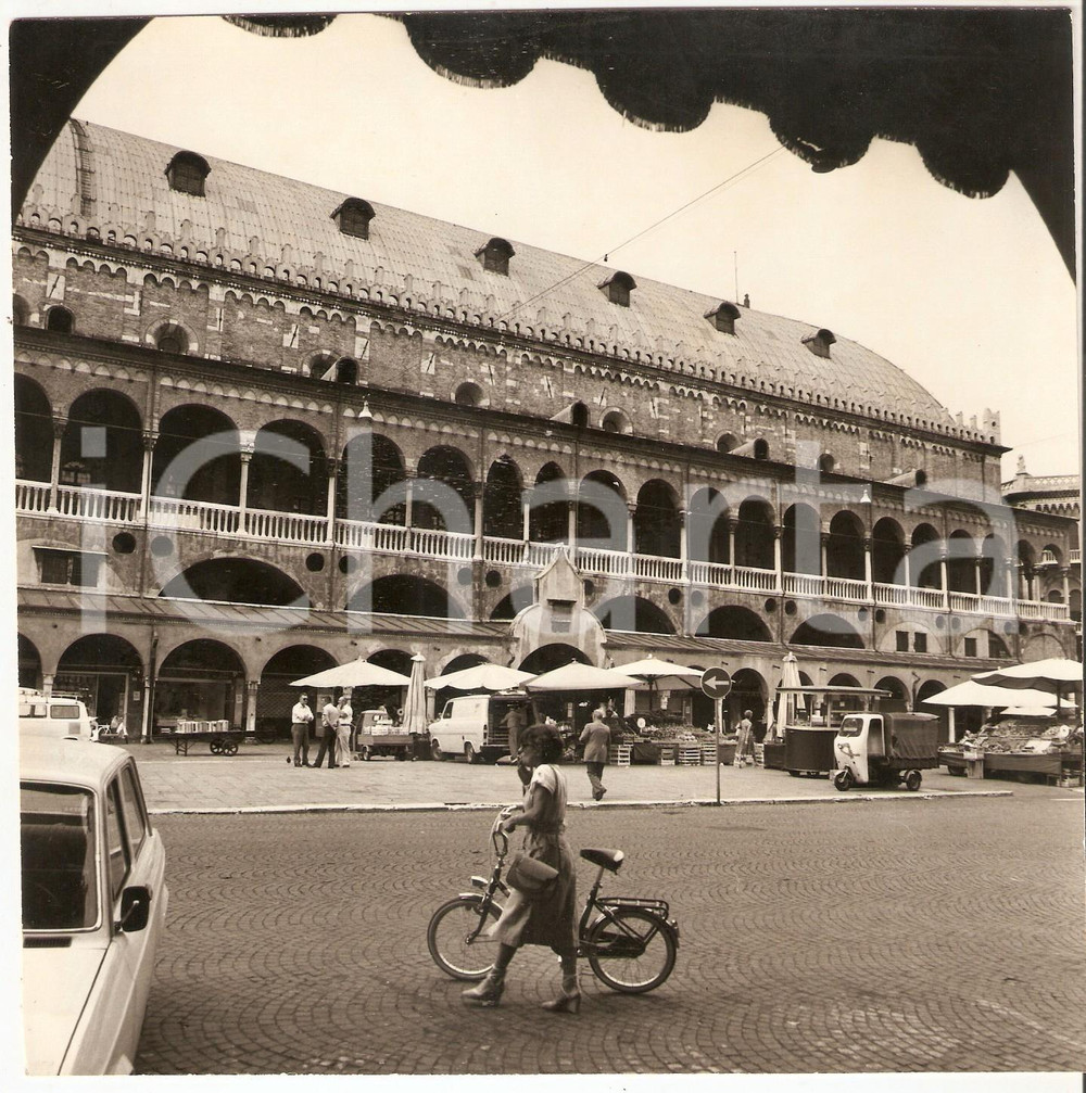 Fotografia d epoca originale 1975 ca PADOVA Donna in bici davanti a Palazzo della Ragione Foto ARTISTICA 1