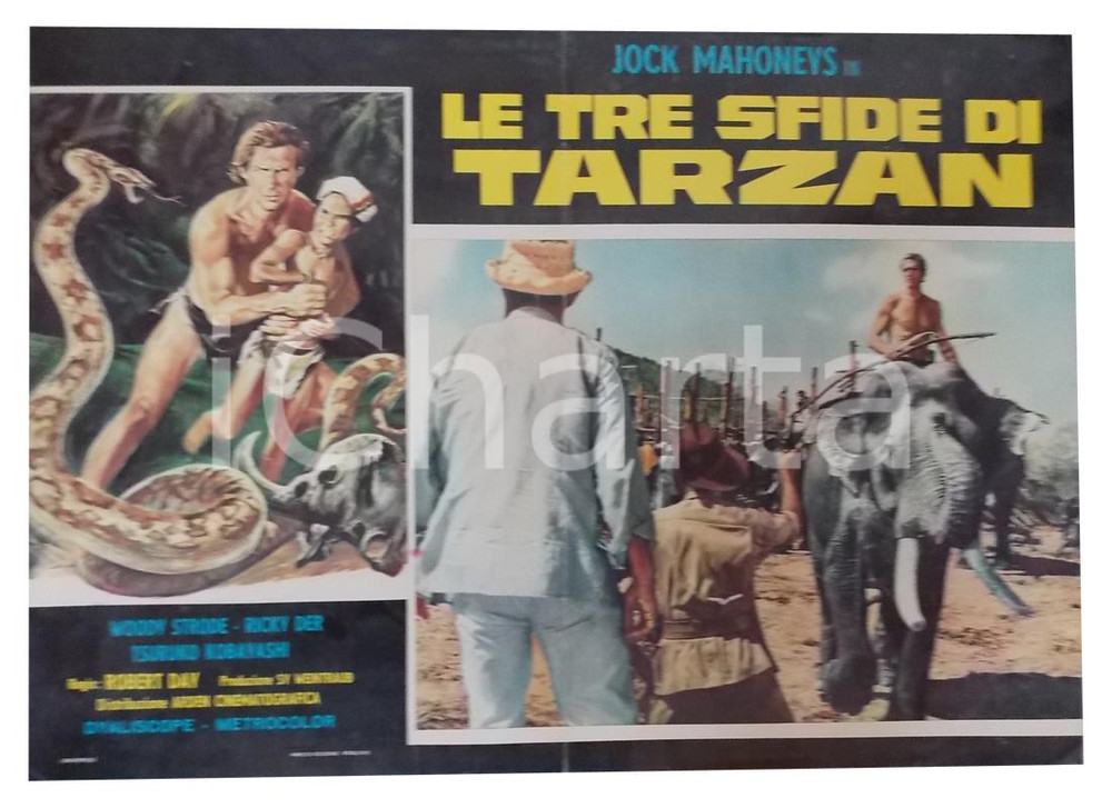 Materiale cinematografico d’epoca 1963 LE TRE SFIDE DI TARZAN Jock MAHONEY in groppa a un elefante Lobby card 1