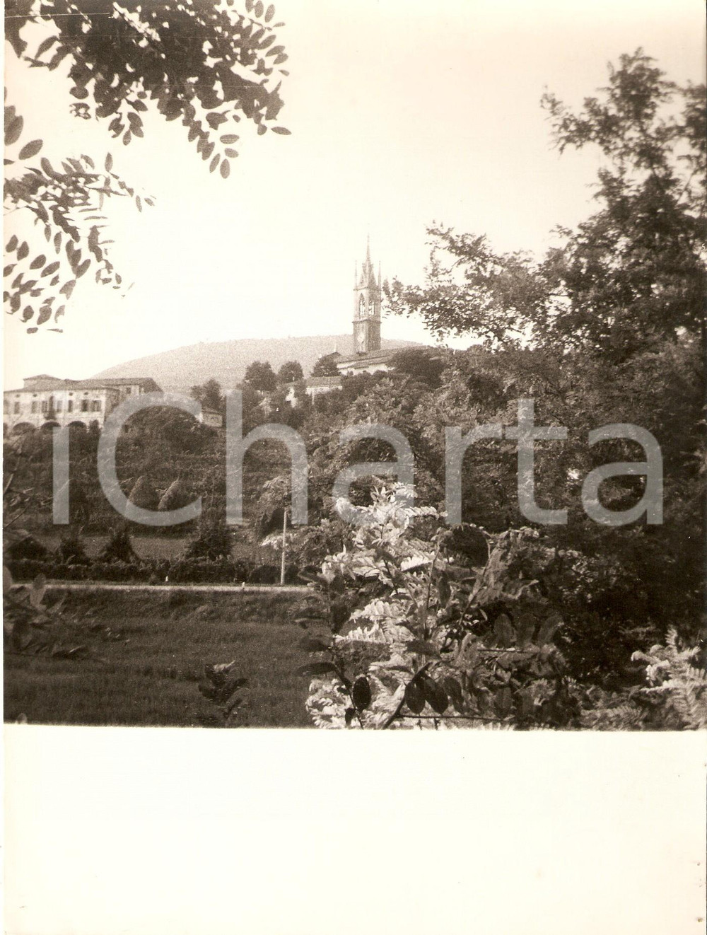 Fotografia d epoca originale 1970 ca AREA PADOVANA Panorama di un paese con campanile e vigneto Foto 17x23 cm 1