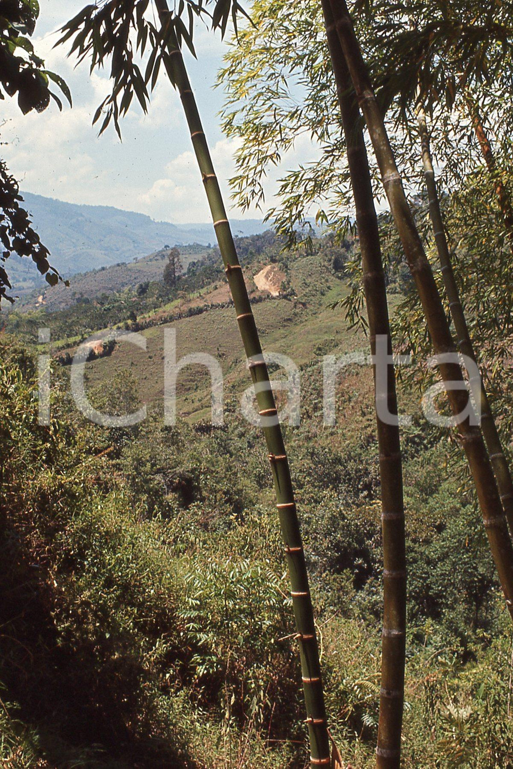 Fotografia d epoca originale 1965 PARAGUAY Veduta artistica  VINTAGE SLIDE  DIAPOSITIVA 1