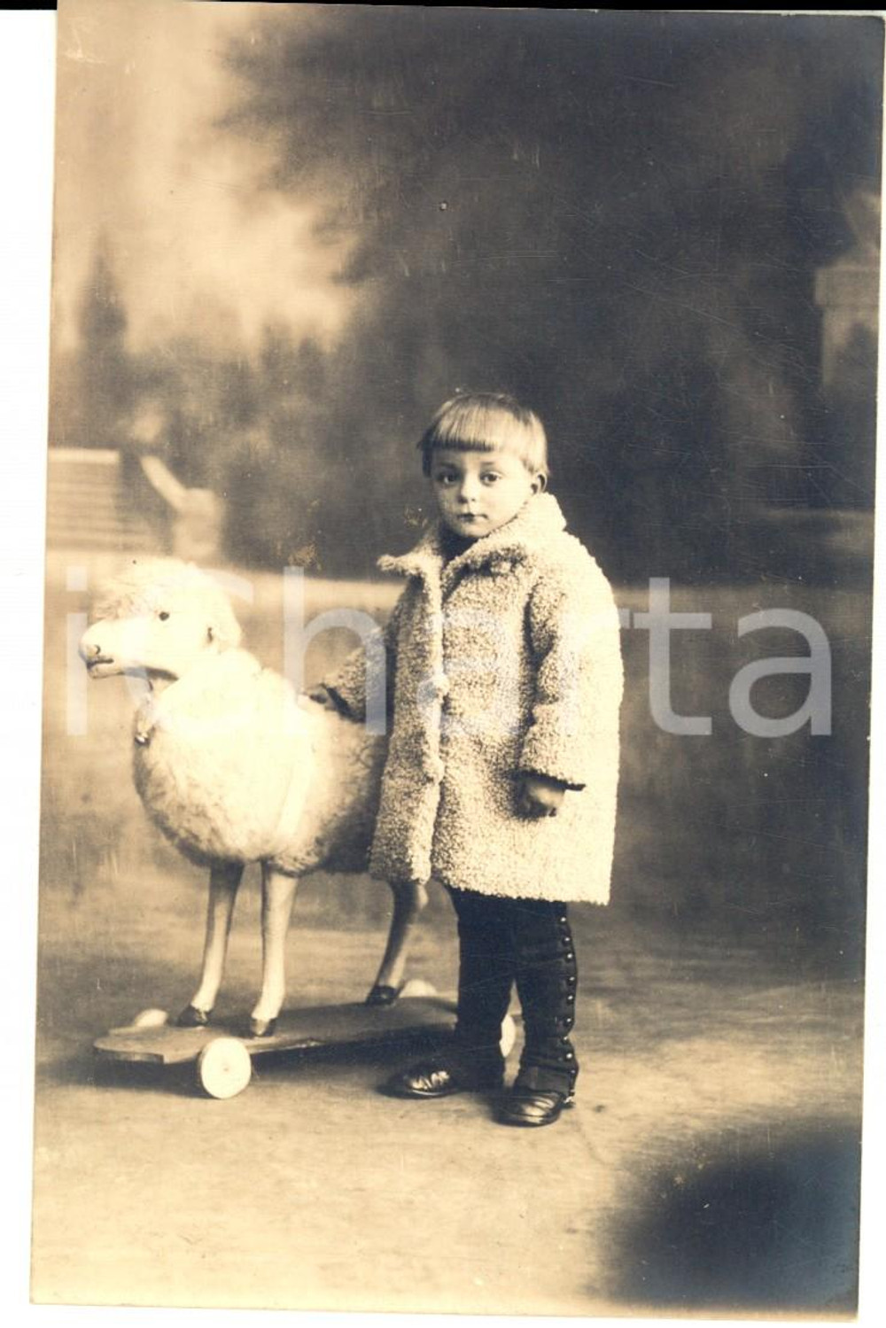 Fotografia d epoca originale 1930 ca BELGIQUE Ritratto di bambino con una pecora giocattolo Foto CURIOSA 1