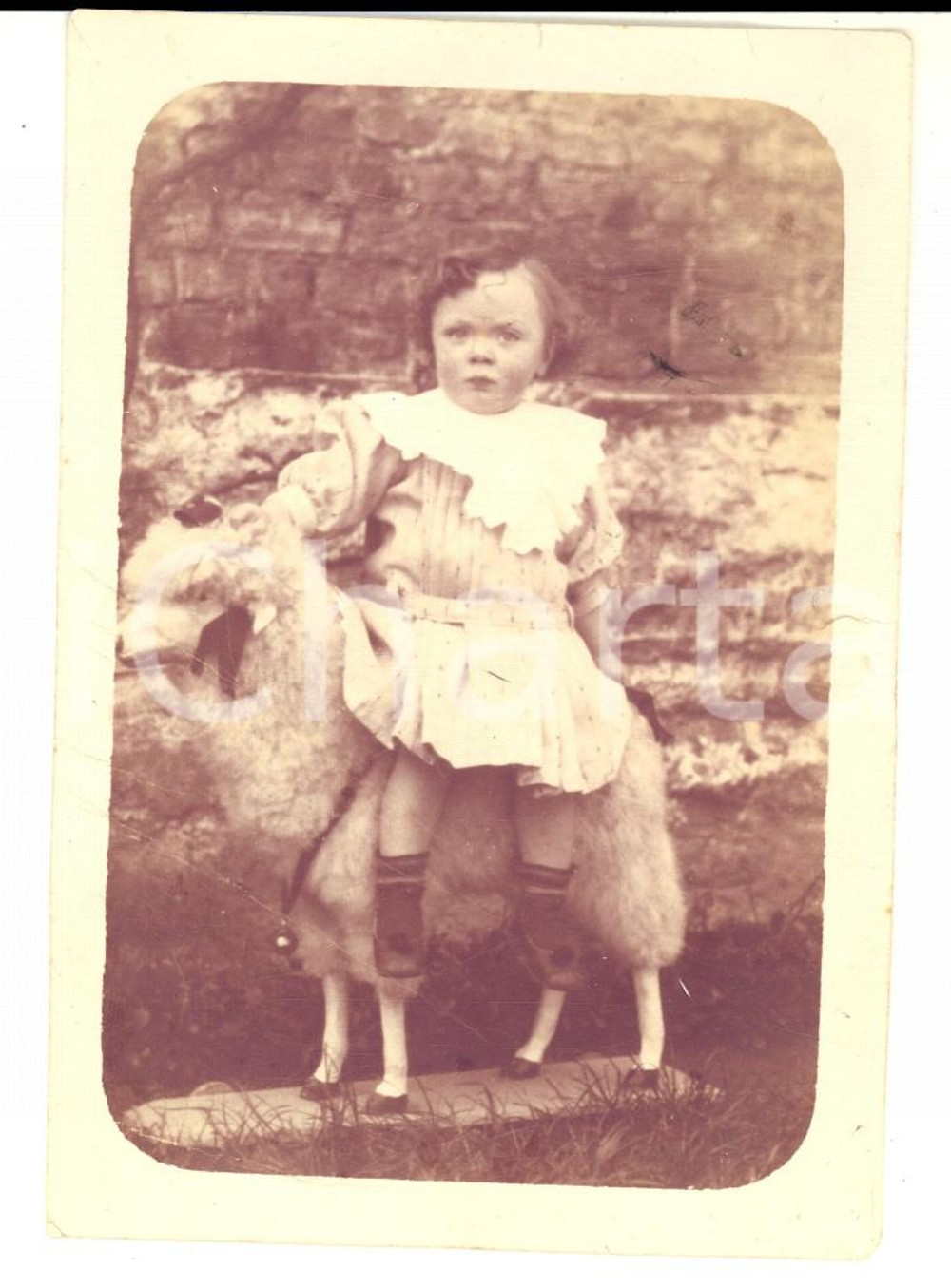Fotografia d epoca originale 1930 ca BELGIQUE Bambina seduta su una pecora giocattolo Foto CURIOSA 9x12 1