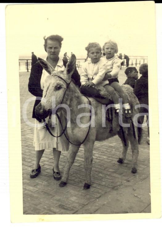 Fotografia d epoca originale 1946 BELGIQUE Ritratto di due bambini su un asinello  Foto VINTAGE 7x9 cm 1