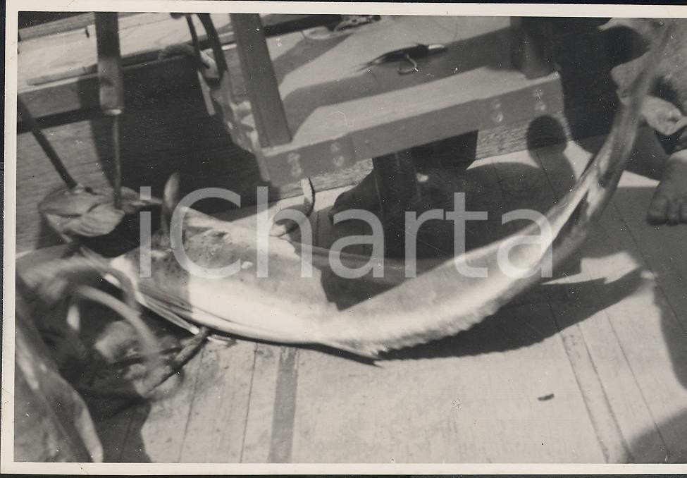 Fotografia d epoca originale 1937 MOOREA Polinesia Scene di pesca REAL PHOTO cm 13,5 x 8,5 1