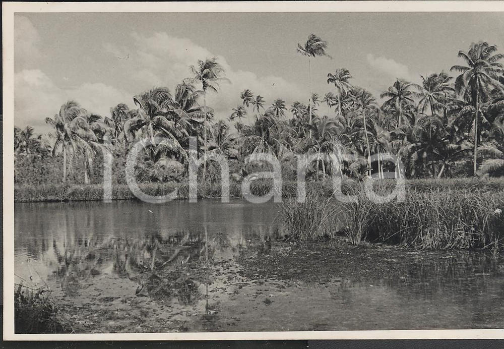 Fotografia d epoca originale 1937 TUPAI Polinesia Francese Veduta dell interno REAL PHOTO cm 13,5 x 8,5 1