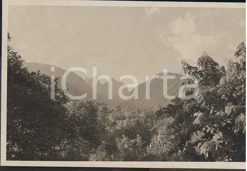 Fotografia d epoca originale 1937 TAHITI Polinesia Francese Interno dell isola REAL PHOTO cm 13,5 x 8,5 1