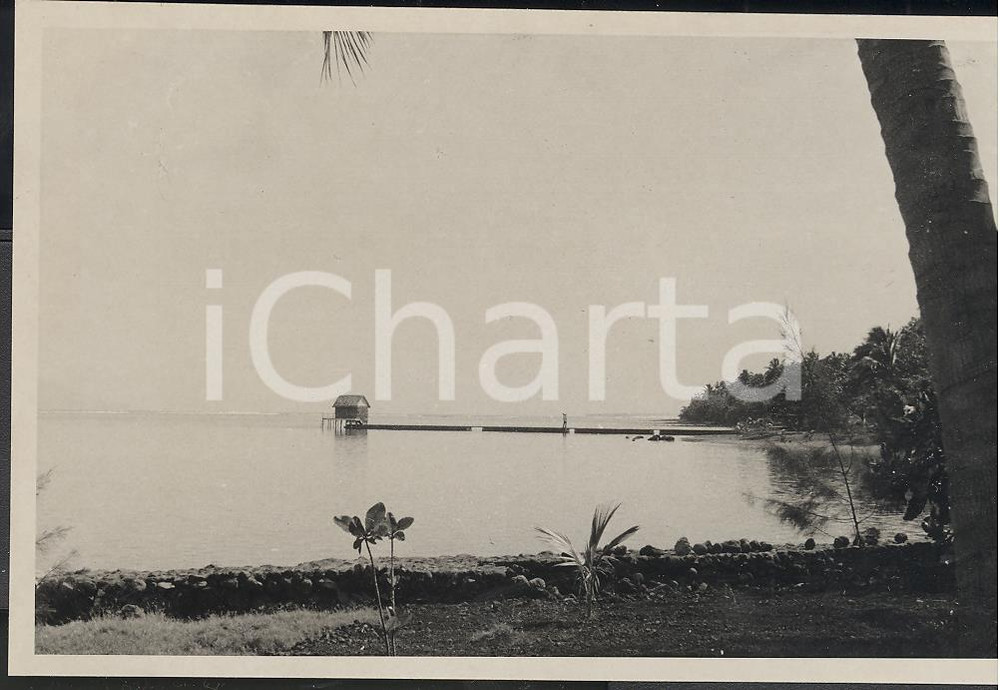 Fotografia d epoca originale 1937 MOOREA Polinesia Francese Veduta generale REAL PHOTO cm 13,5 x 8,5 1