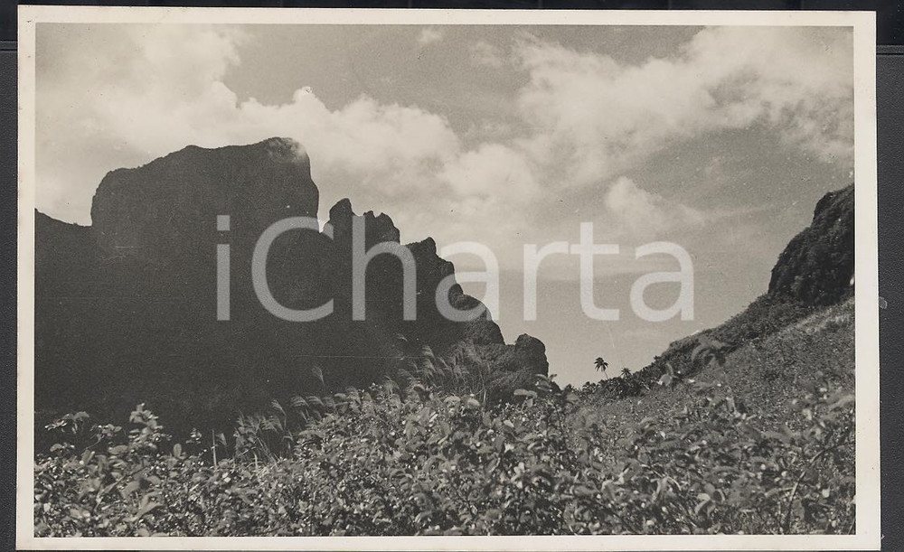 Fotografia d epoca originale 1937 BORA BORA Polinesia Interni dell isola PHOTO cm 13,5 x 8,5 1